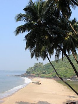 Pristine Konkan beach with clear blue water