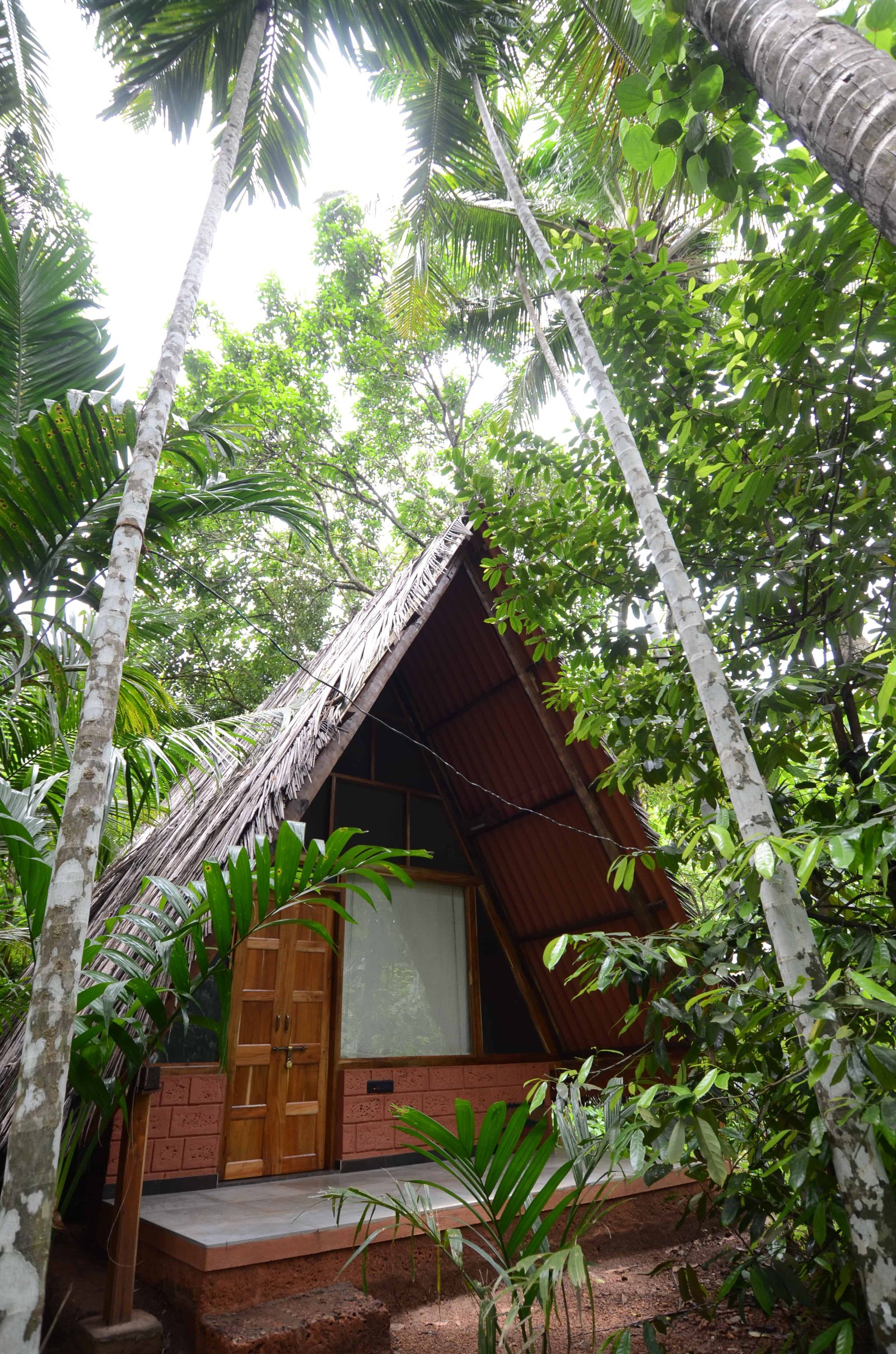 Accommodation at Maachli