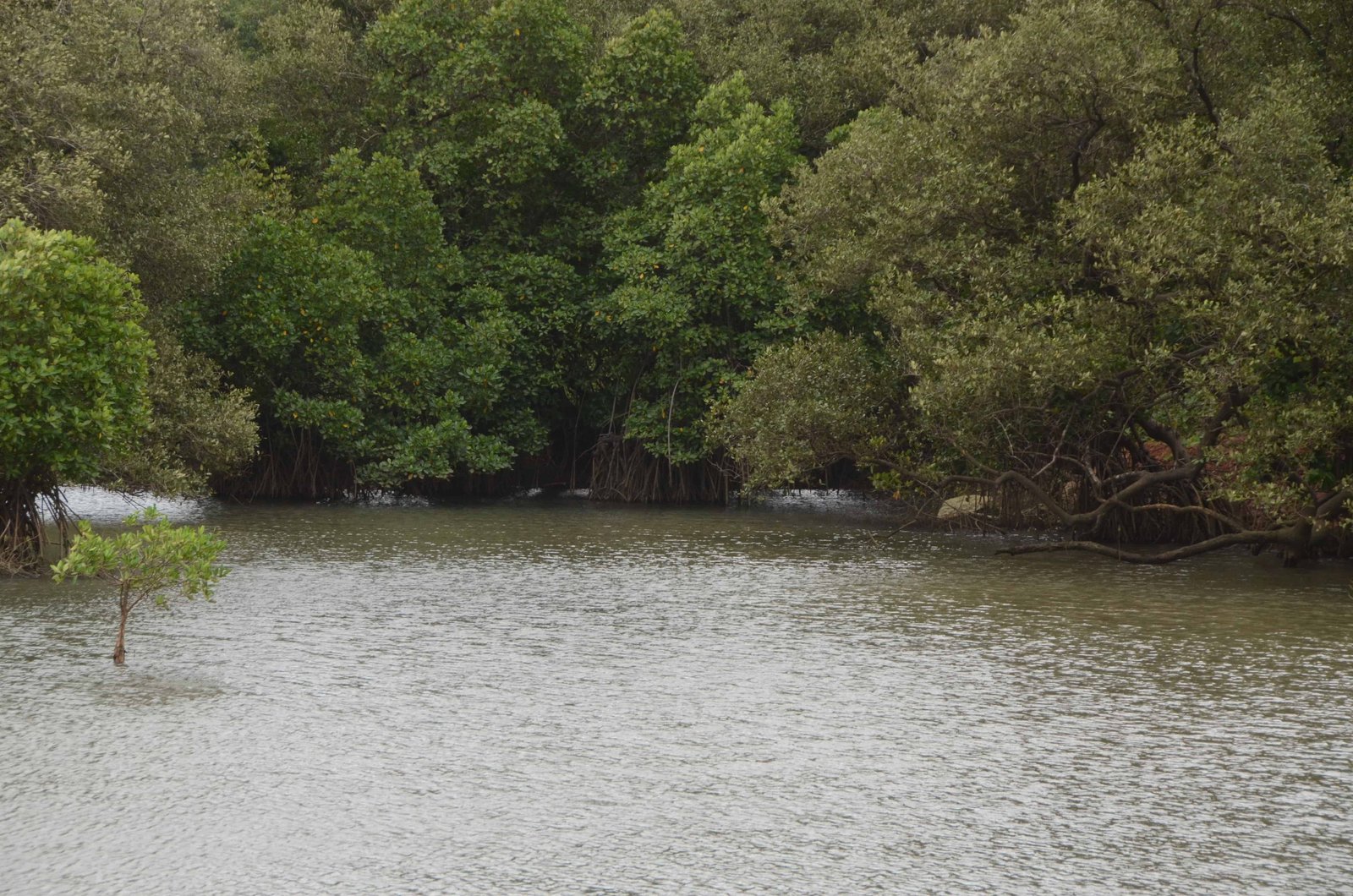 Places to visit near Maachli